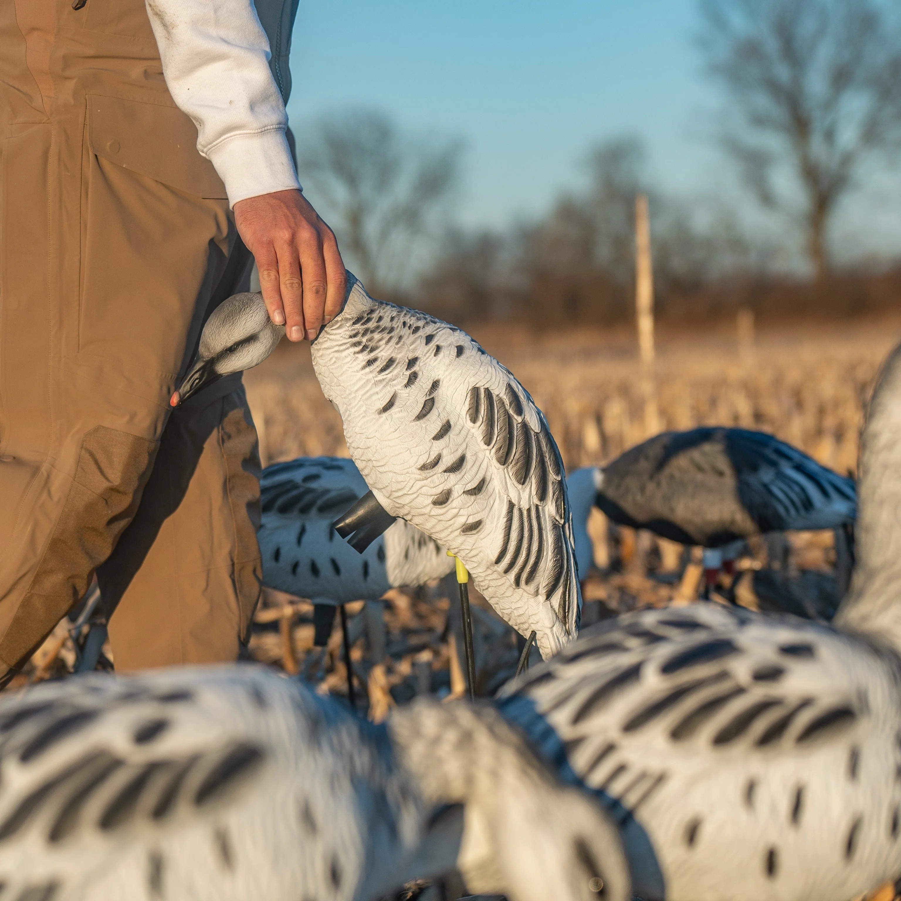 FB Juvie Goose Full Bodies - Image 4