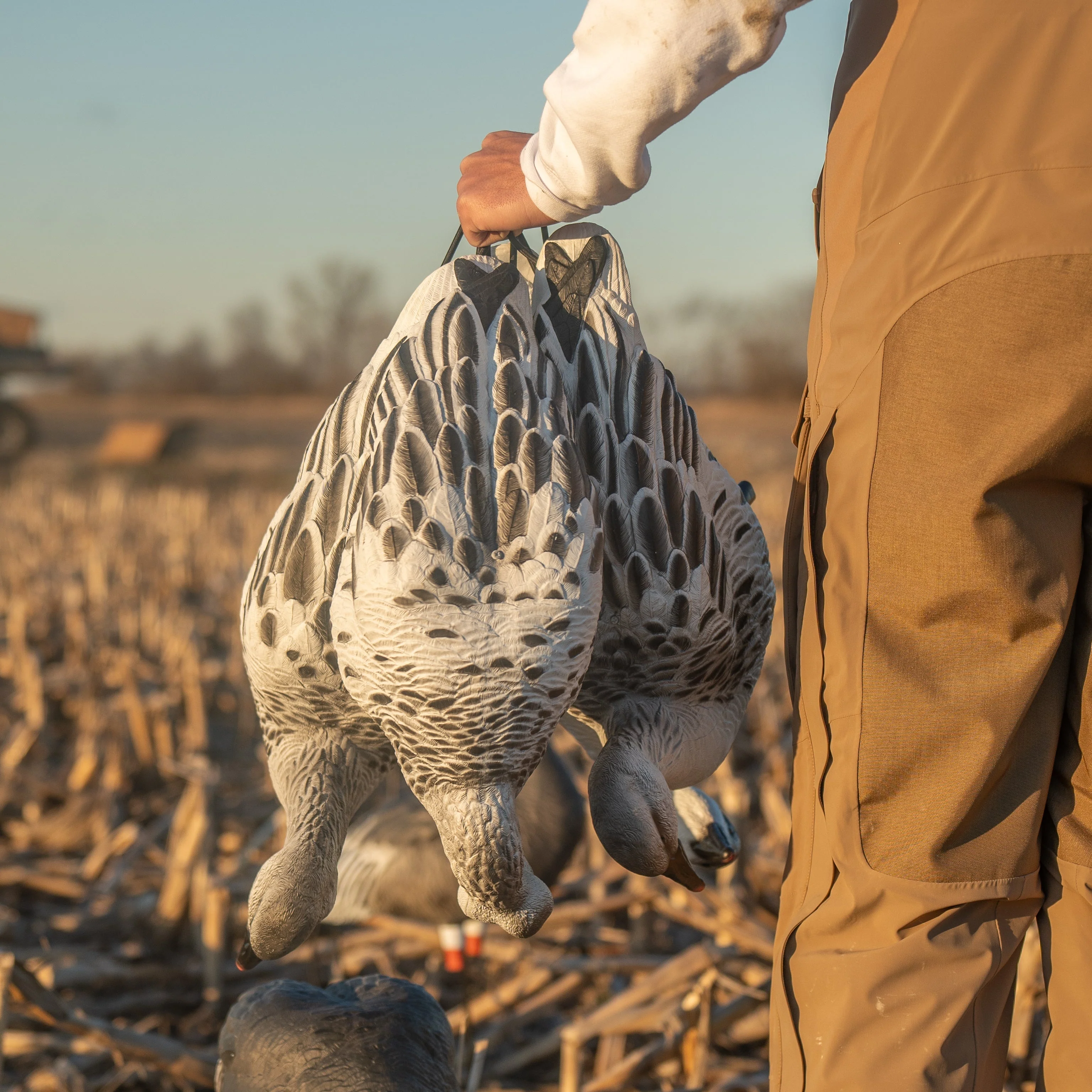 FB Juvie Goose Full Bodies - Image 5