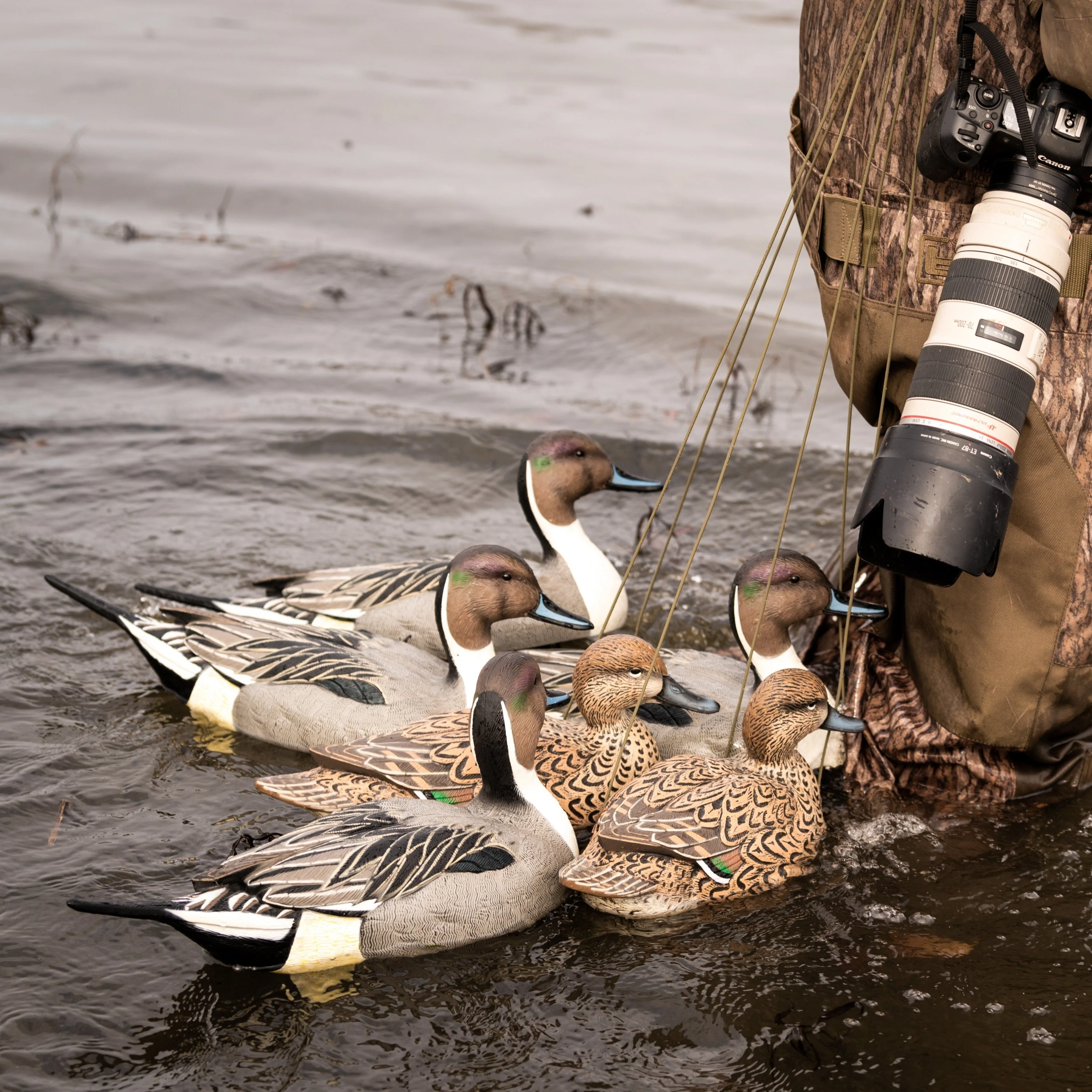 F1 Pintail Floaters - Image 5