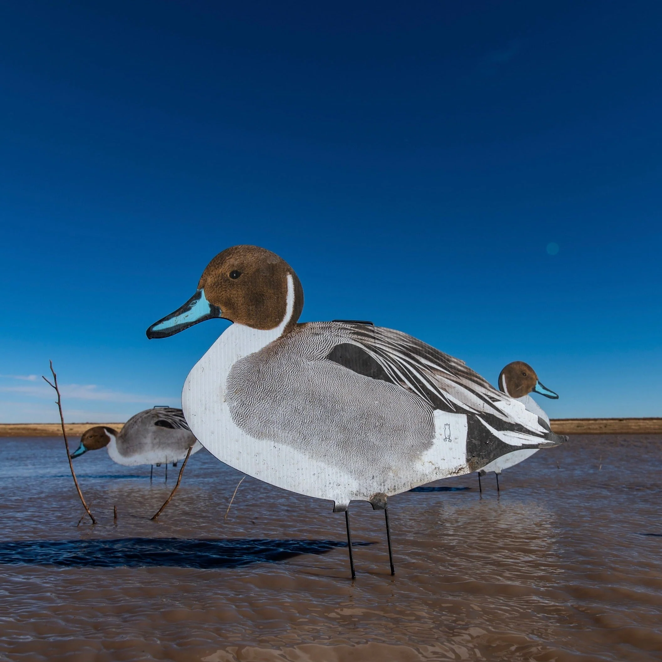 P1 Pintail Silhouettes - Image 4