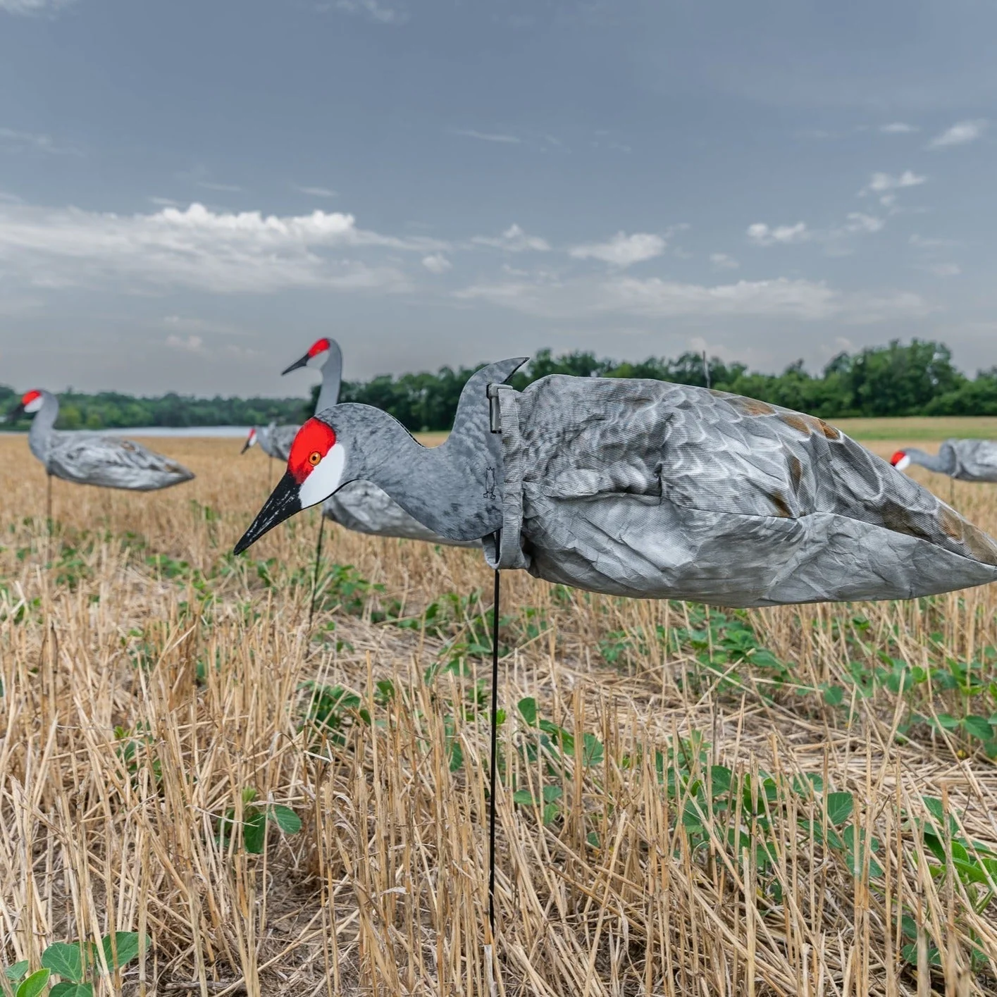 S3i Sandhill Crane Socks - Image 2