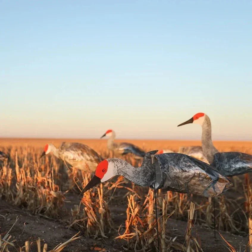 S3i Sandhill Crane Socks - Image 5