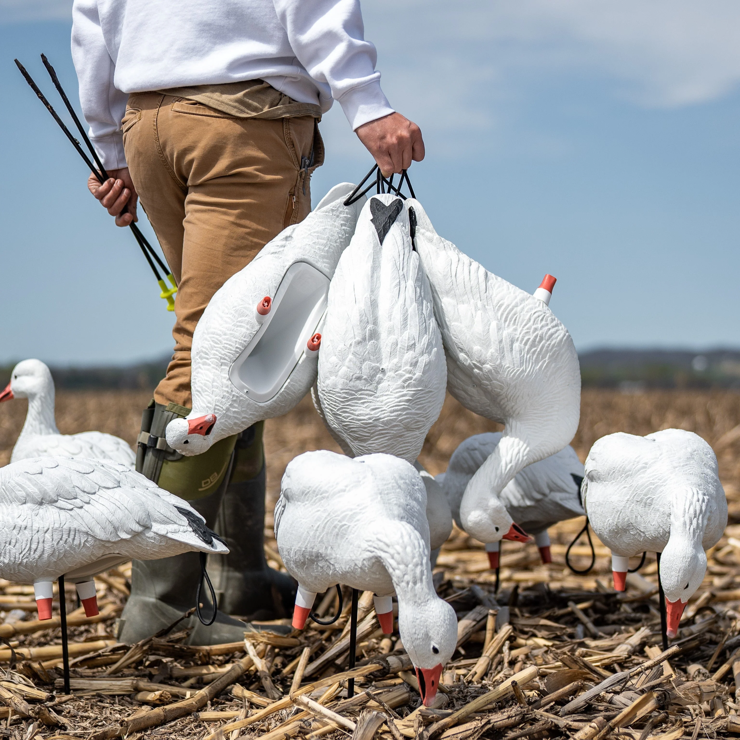 FB Snow Goose Full Bodies - Image 6