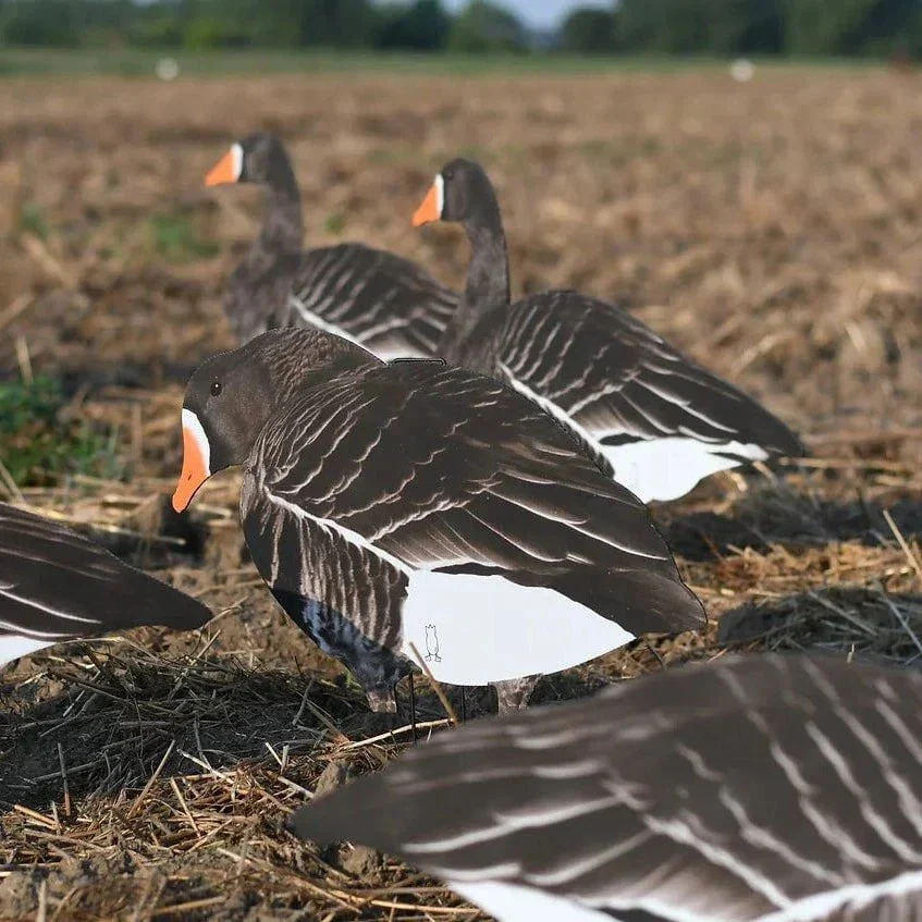 V2 Specklebelly Goose Silhouettes - Image 3