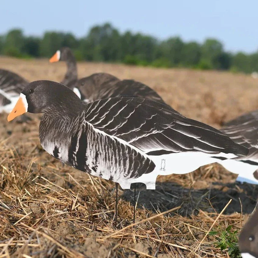 V2 Specklebelly Goose Silhouettes - Image 4