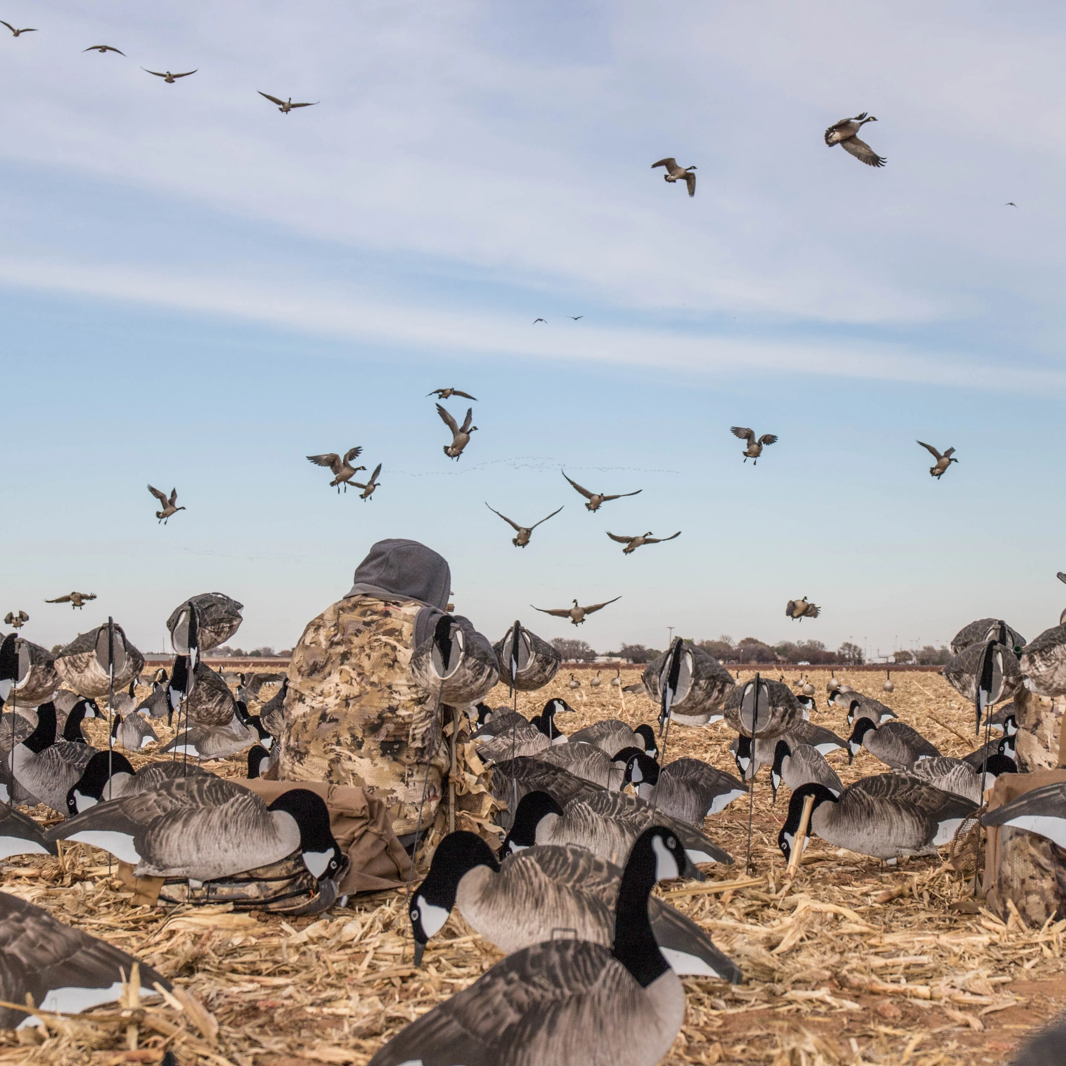 S5F Tall Canada Goose Socks - Image 2