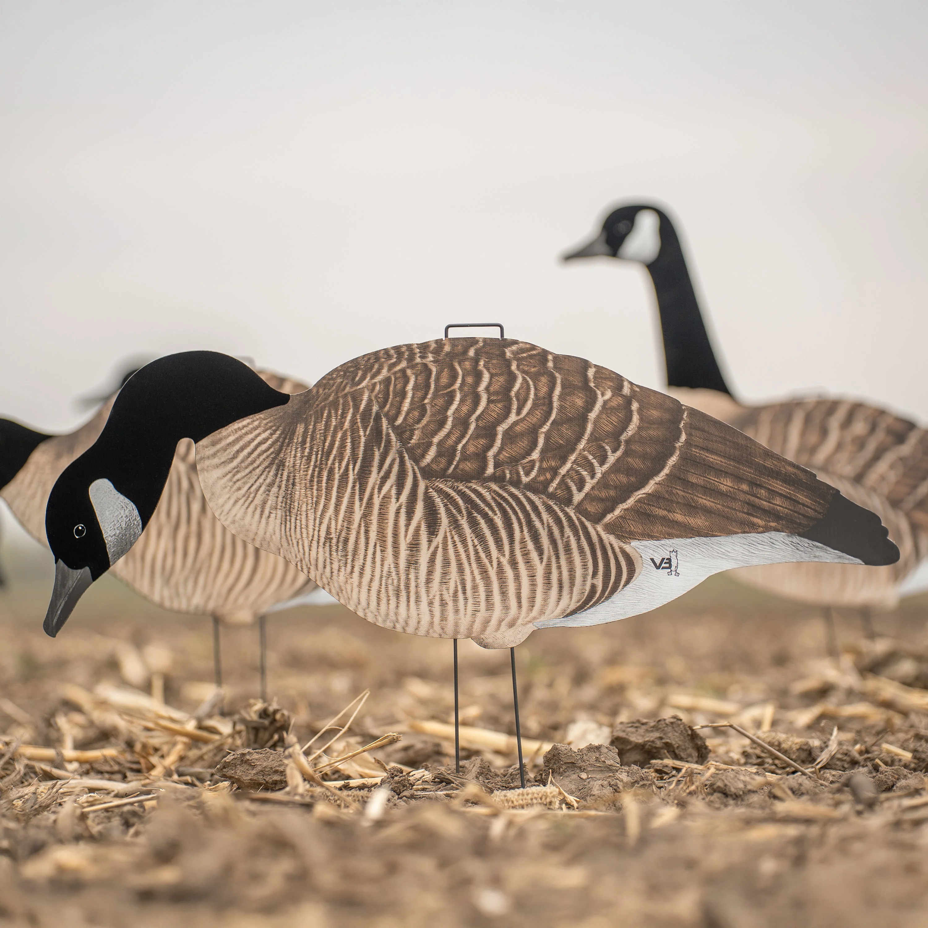 V3F Flocked Canada Silhouettes - Image 4