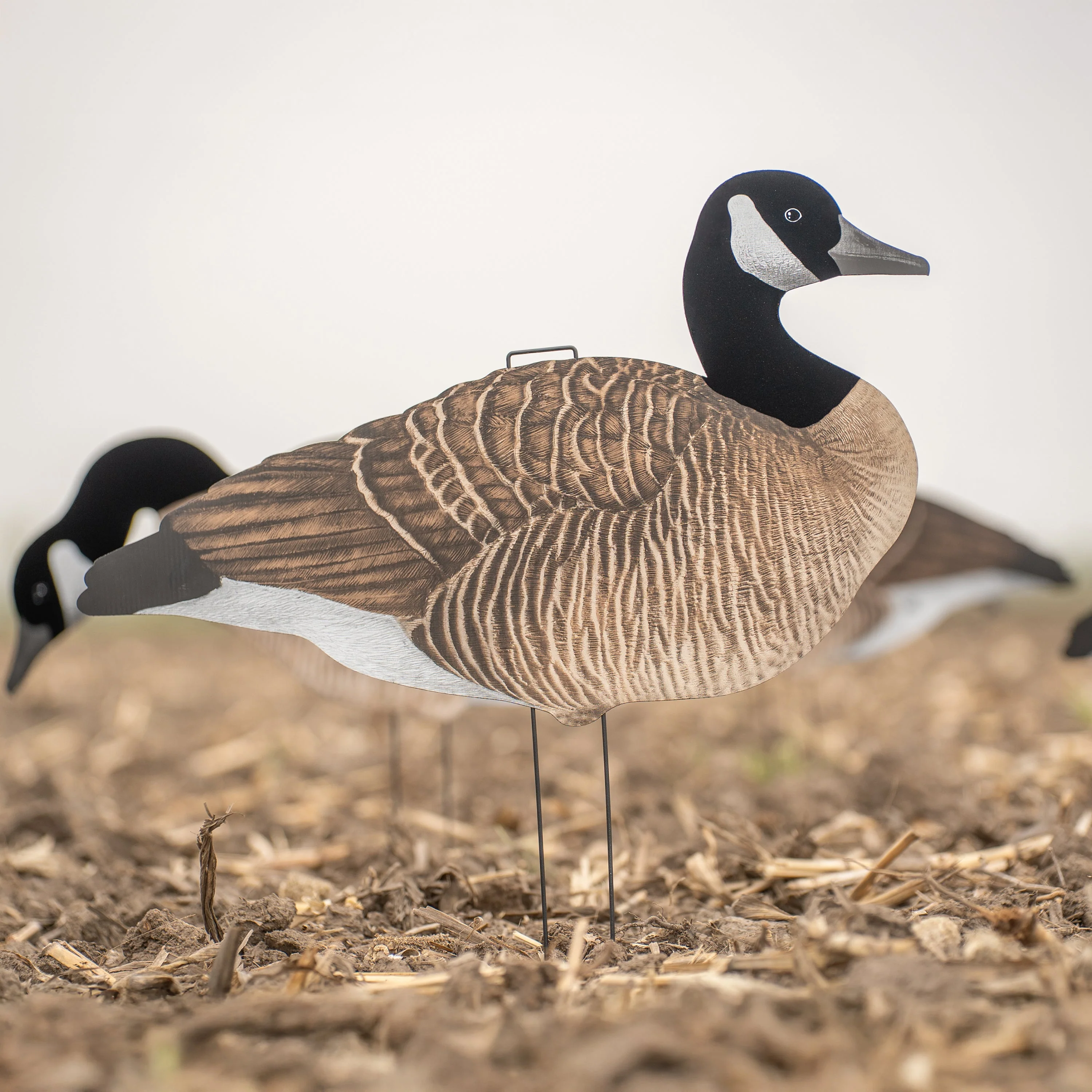 V3F Flocked Canada Silhouettes - Image 5