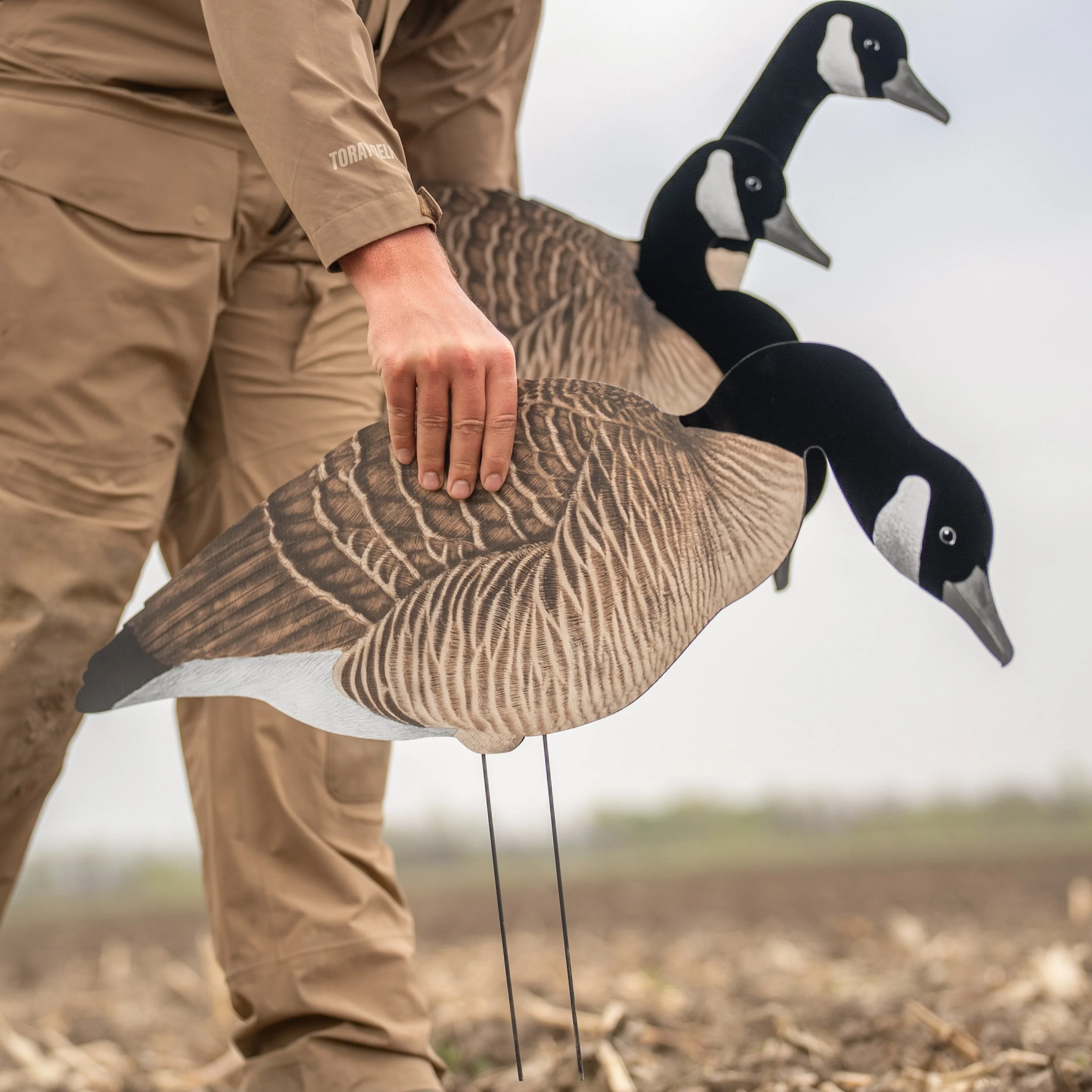 V3F Flocked Canada Silhouettes - Image 6
