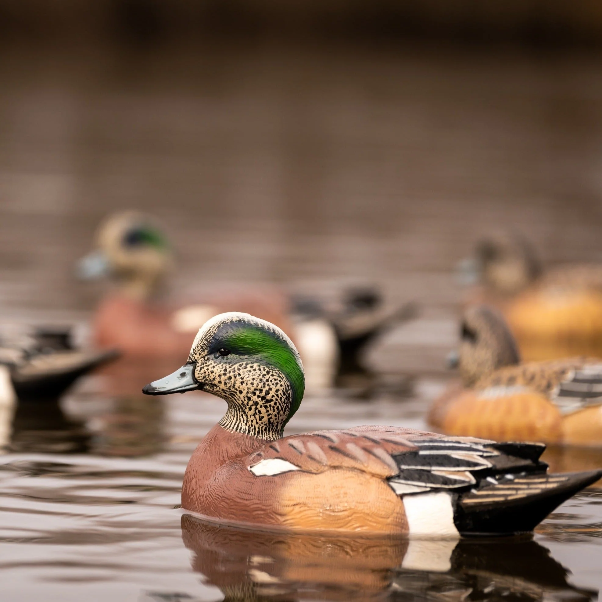 F1 Wigeon Floaters - Image 2