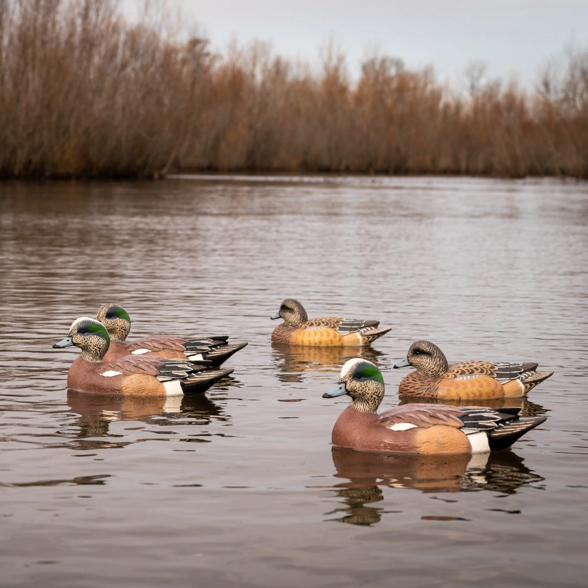 F1 Wigeon Floaters - Image 5