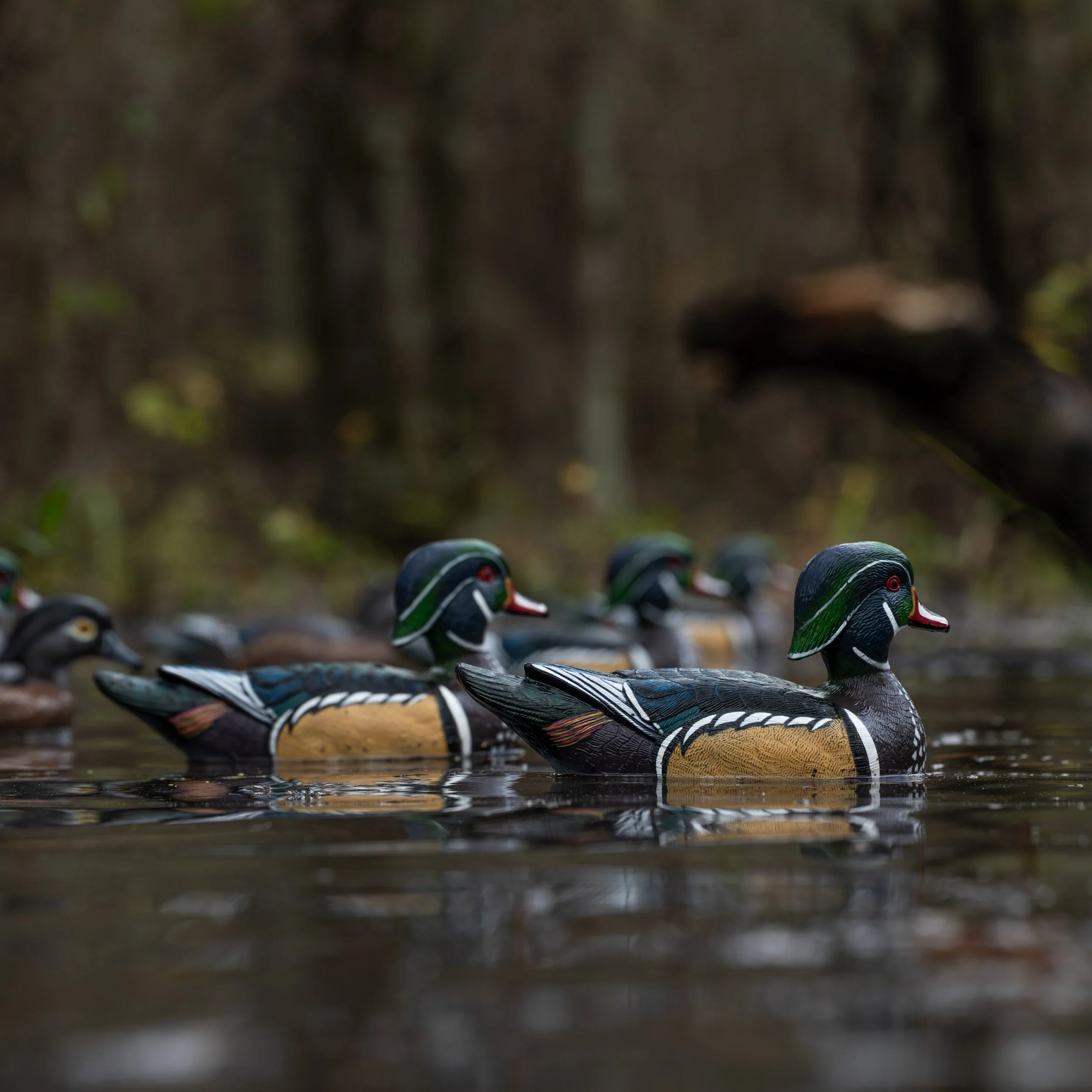 F1 Wood Duck Floaters - Image 10
