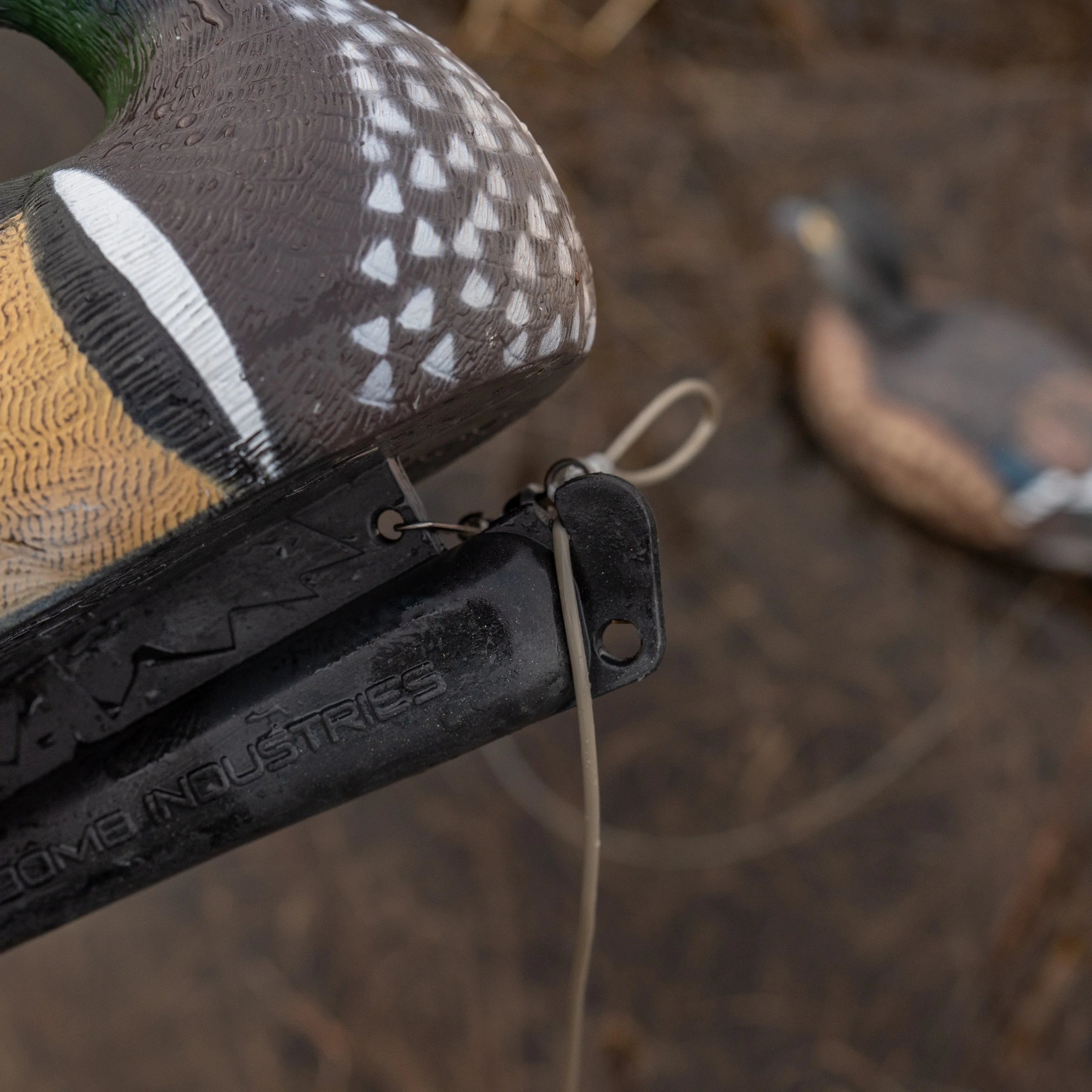 F1 Wood Duck Floaters - Image 12