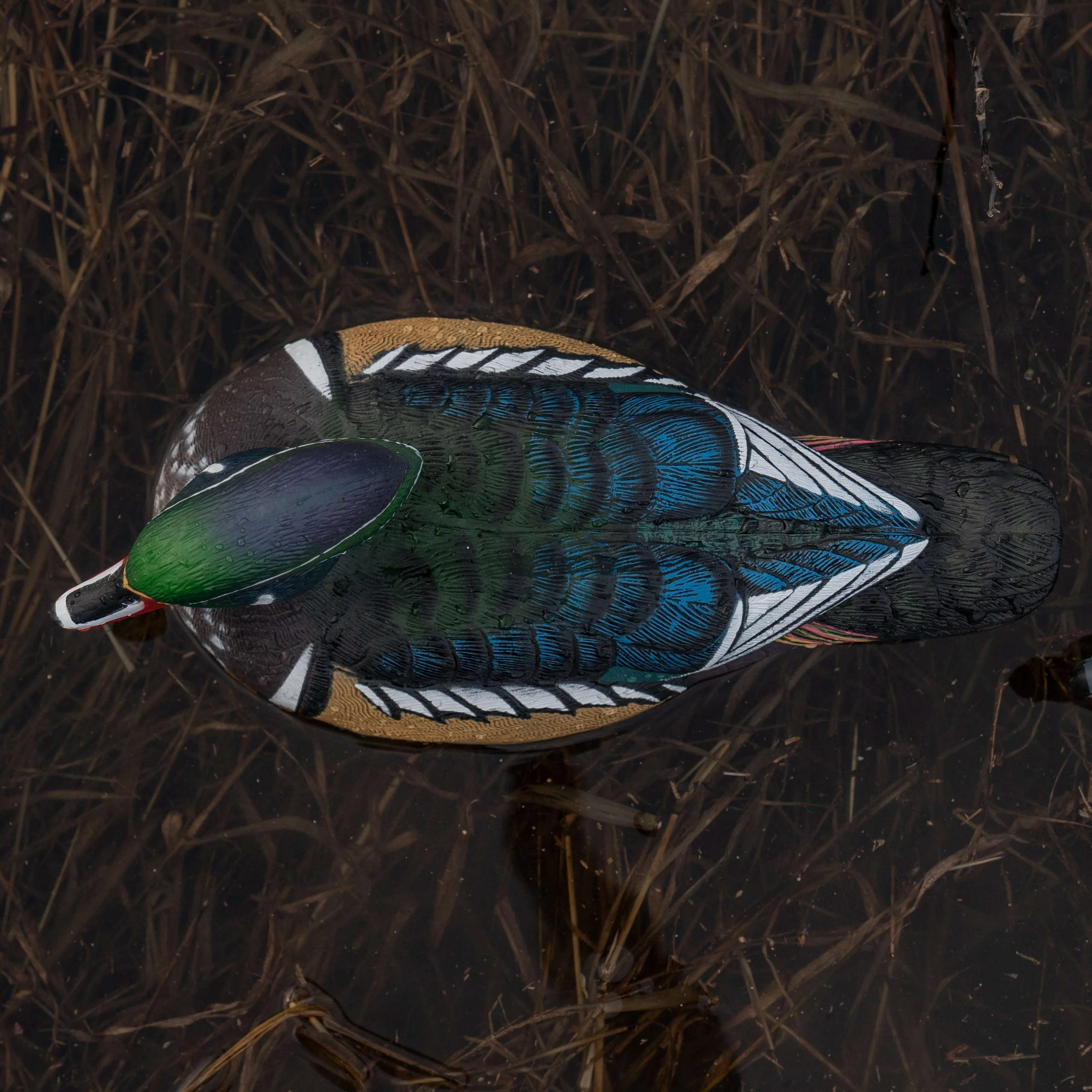 F1 Wood Duck Floaters - Image 14