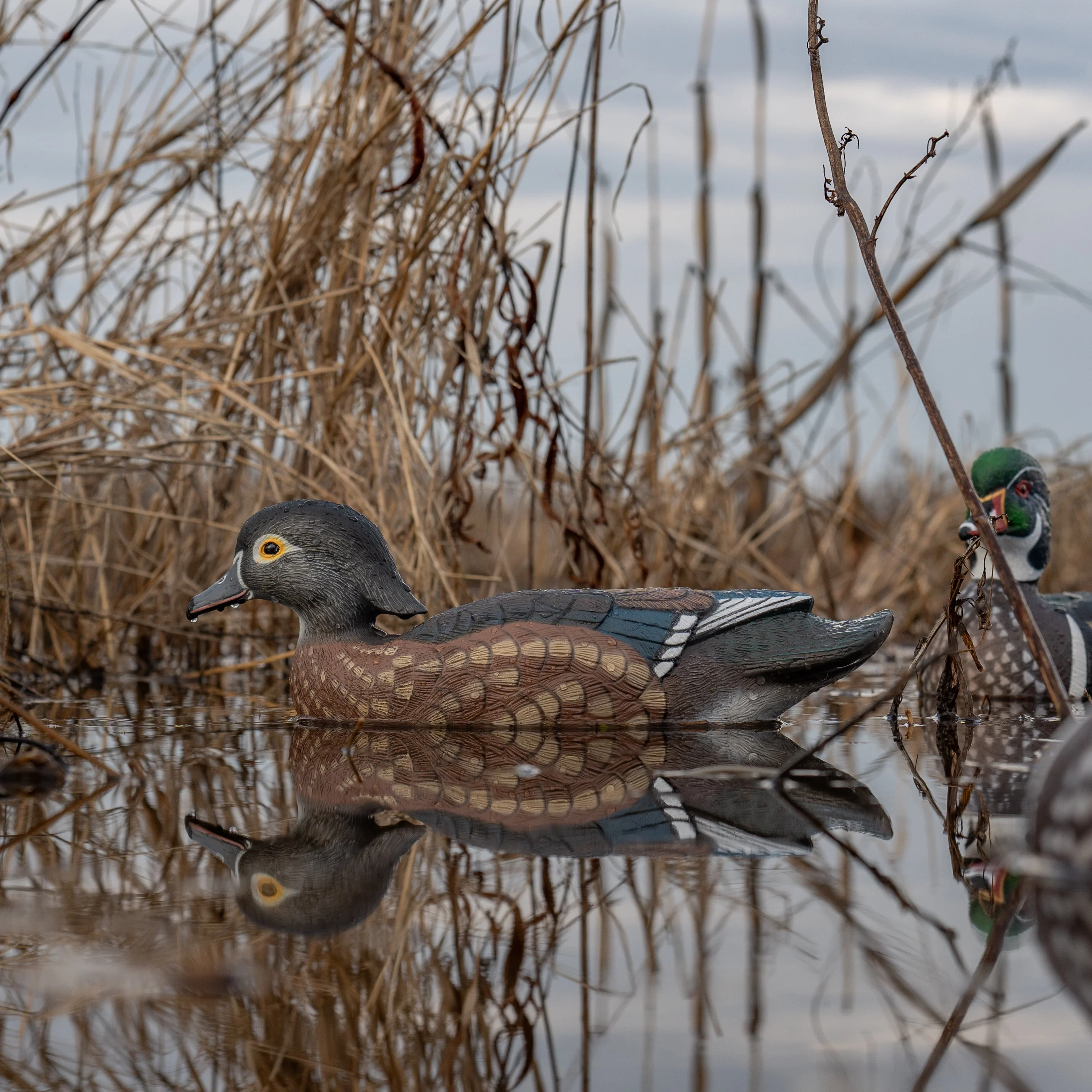 F1 Wood Duck Floaters - Image 2