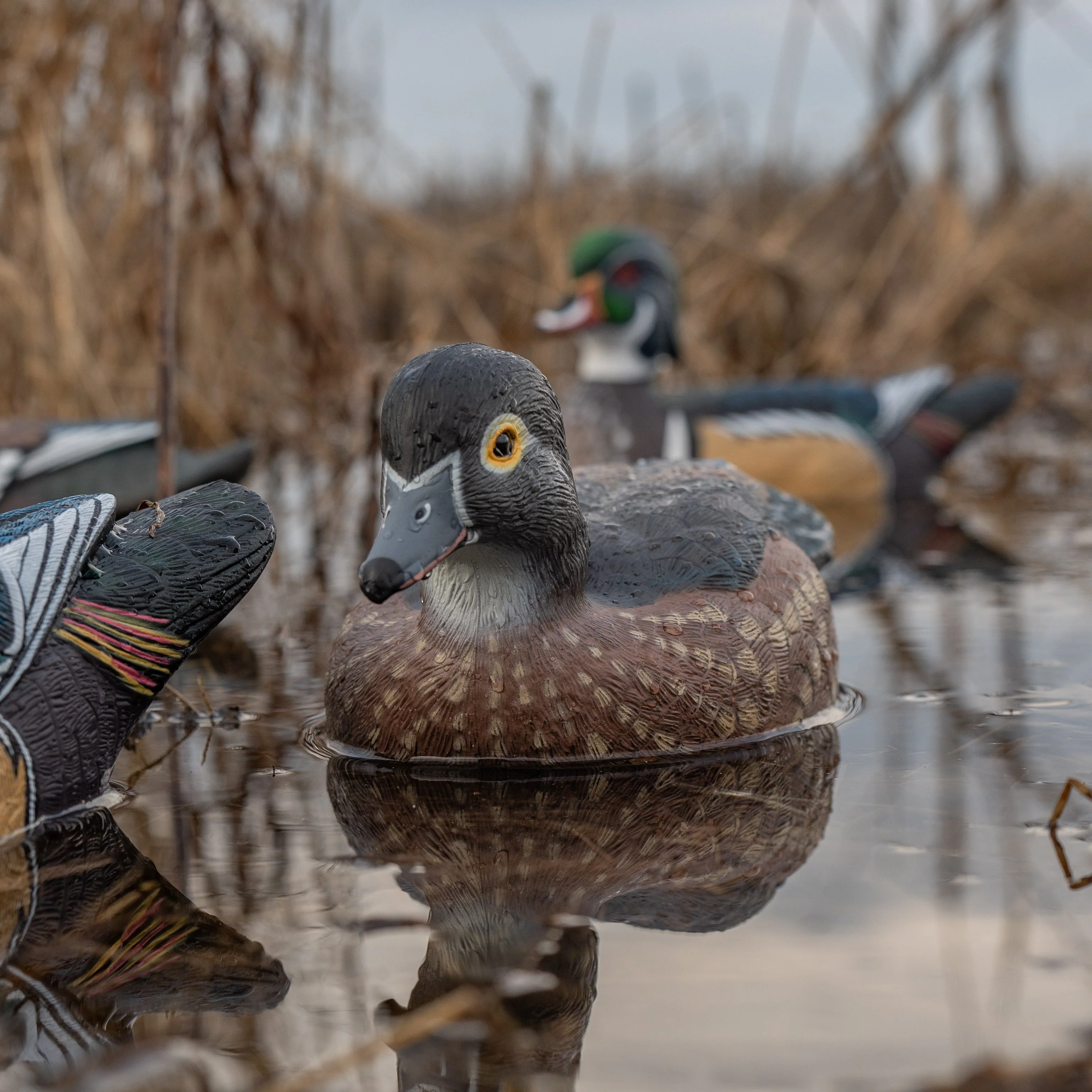 F1 Wood Duck Floaters - Image 4