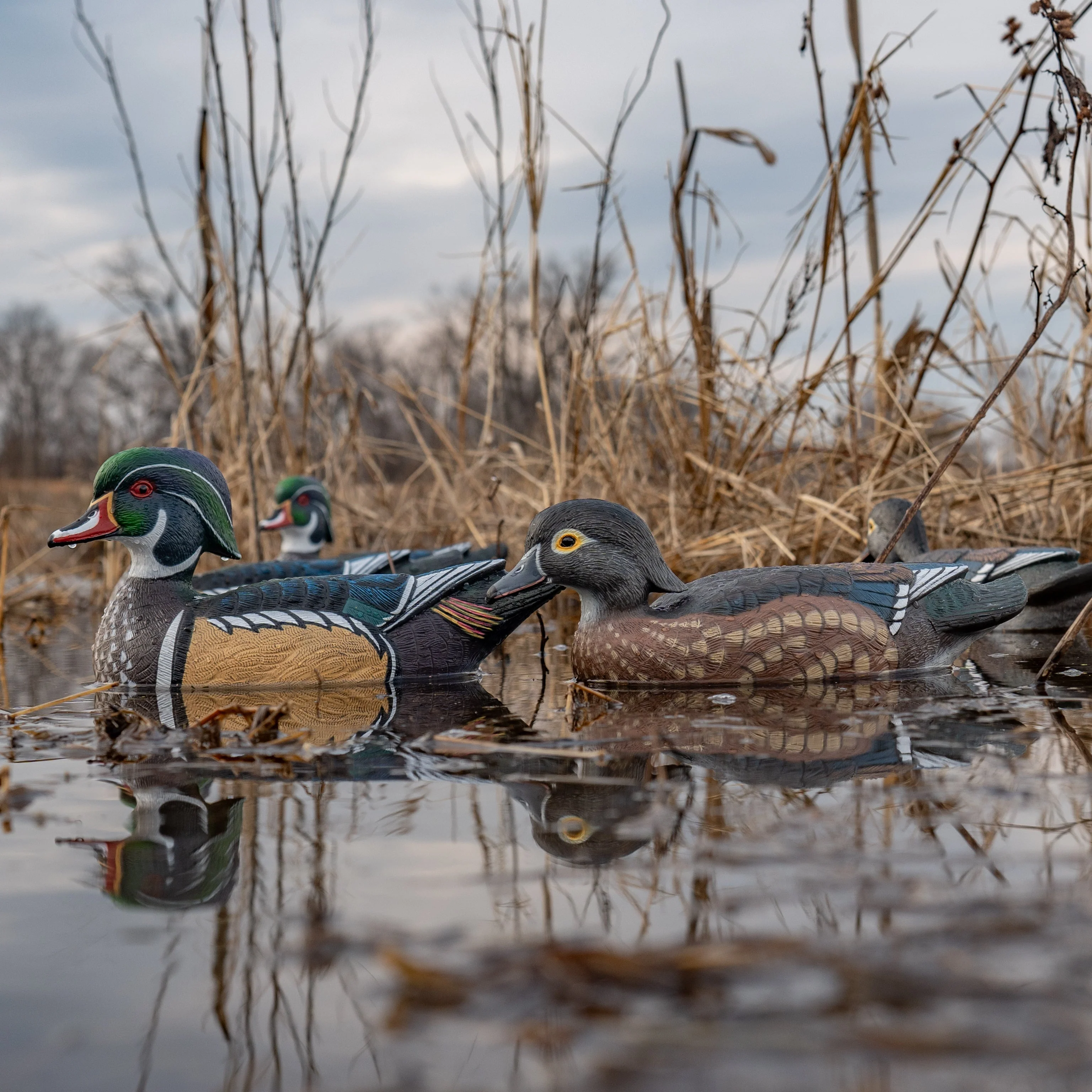 F1 Wood Duck Floaters - Image 5