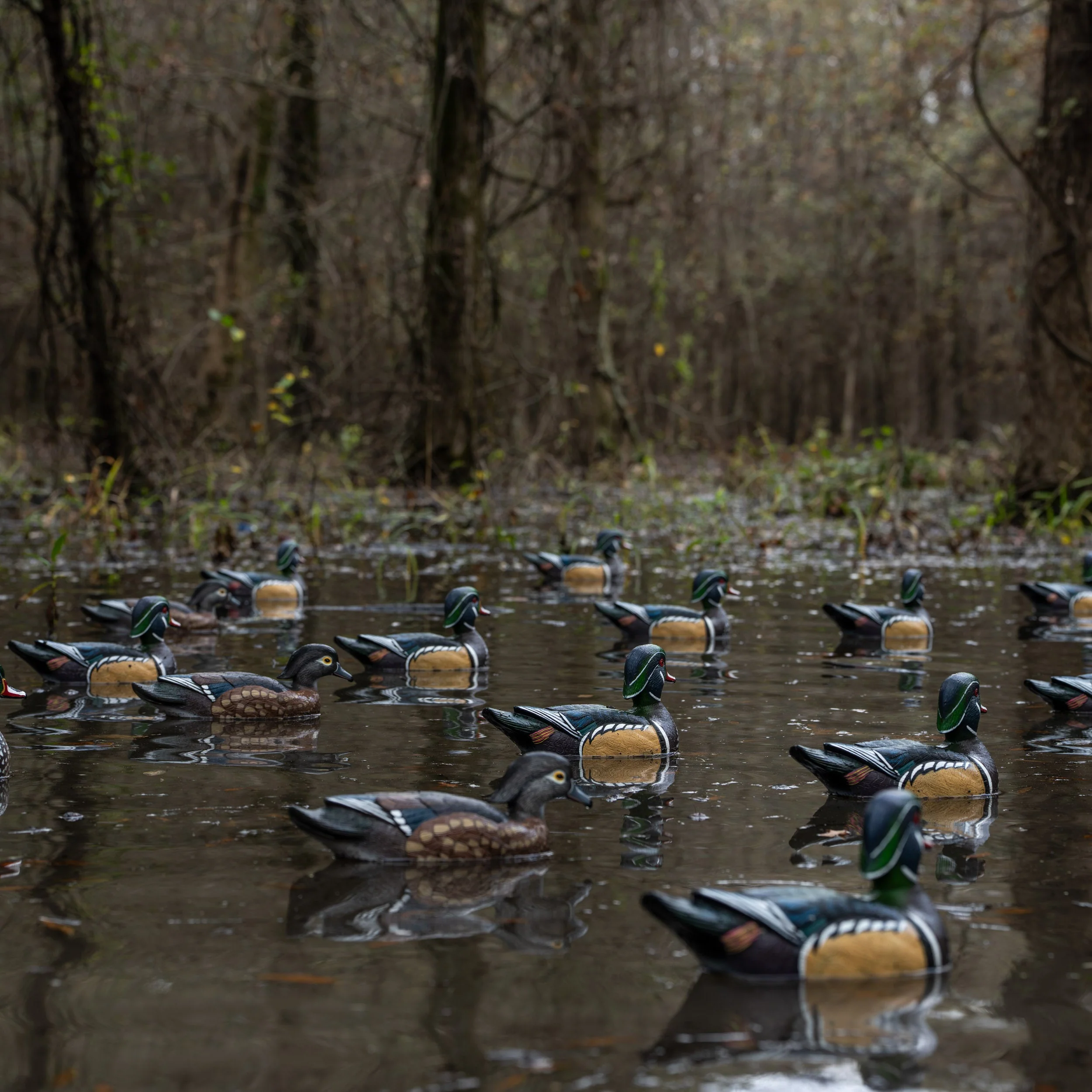 F1 Wood Duck Floaters - Image 7