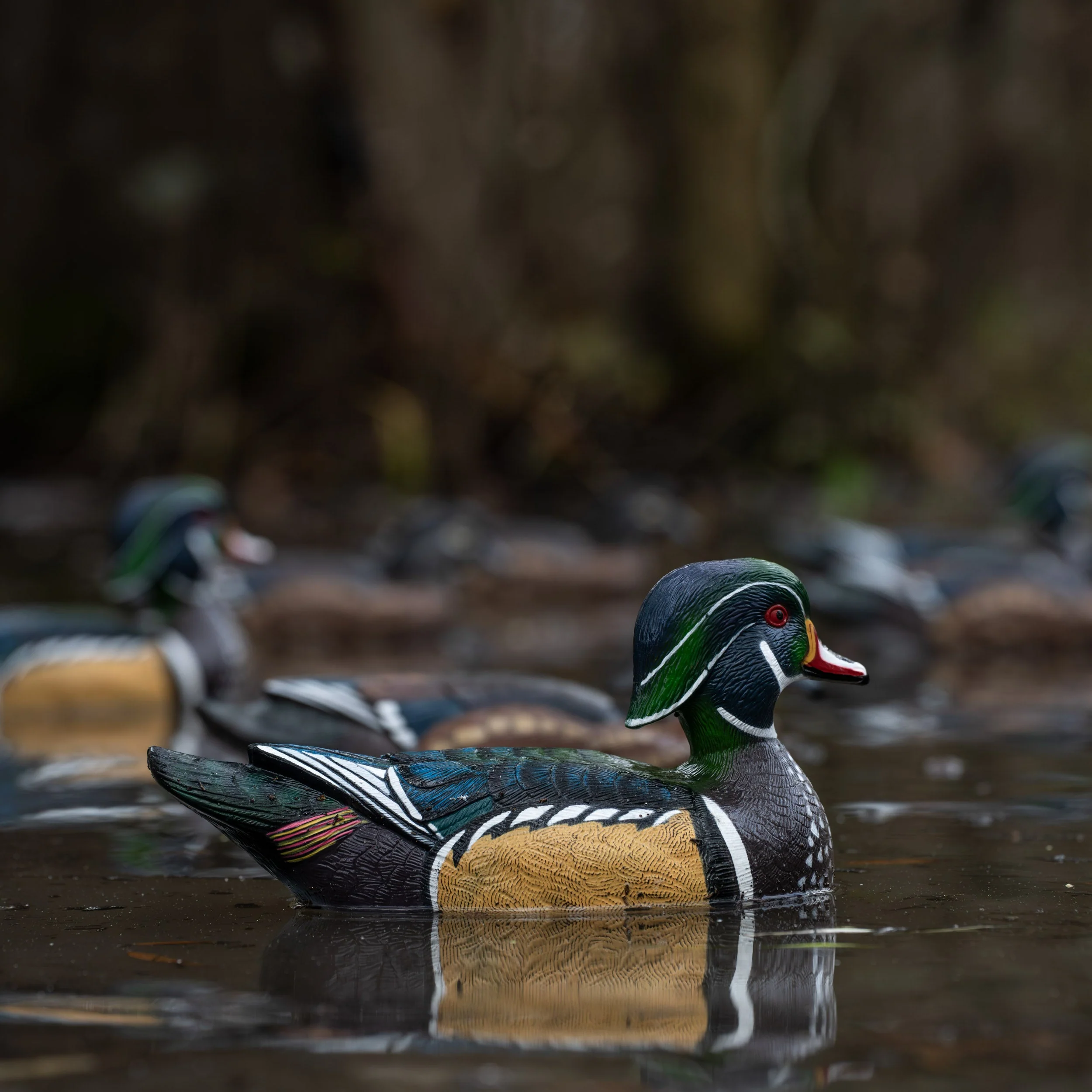 F1 Wood Duck Floaters - Image 8