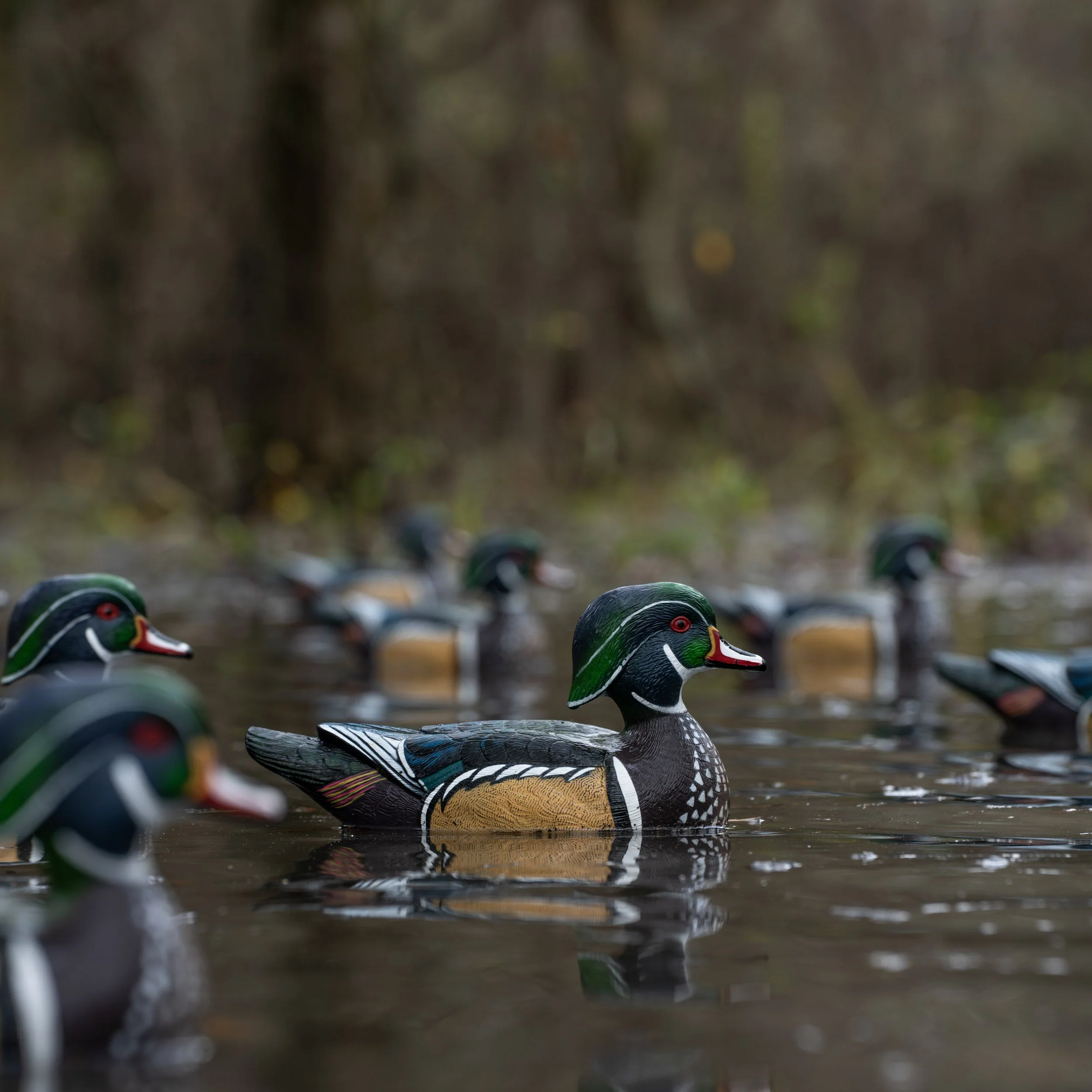 F1 Wood Duck Floaters - Image 9